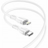 Кабель USB-C на Lightning Borofone BX51 (Черный 100см)